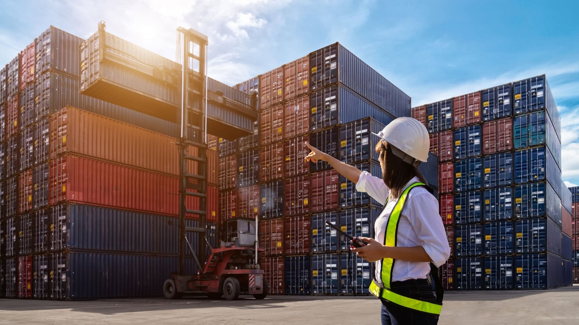 TCB Group – Ireland’s leading LCL service provider supporting Irish shipping agents.
